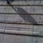 berlin_mai_2009_05