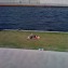 berlin_mai_2009_06