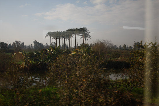 alexandria_2009_03