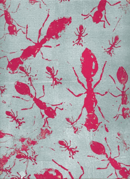 Plage — Magenta Eins
